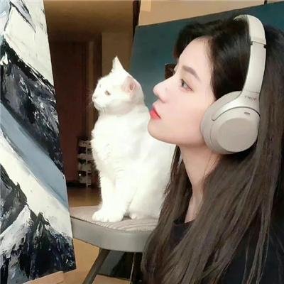 动物界