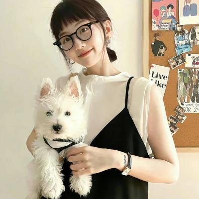 掩耳盗邻第一季